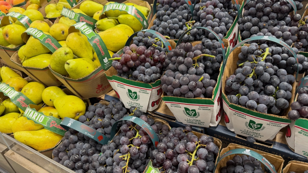 Canadá da la espalda a productos de Estados Unidos: supermercados buscan nuevas fuentes de suministro