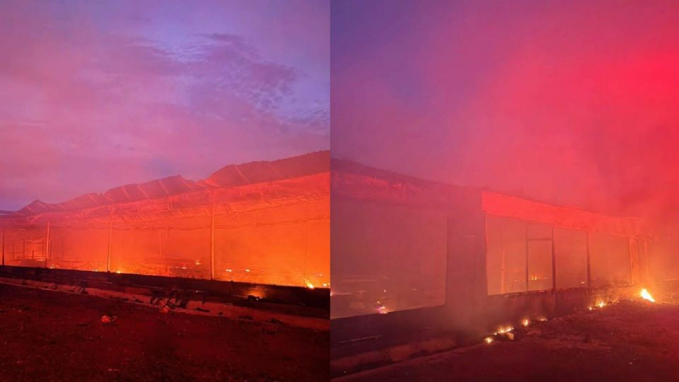 Muer*n al menos 7 mil pollos calcin4dos tras incendio en granja avícola de Nayarit
