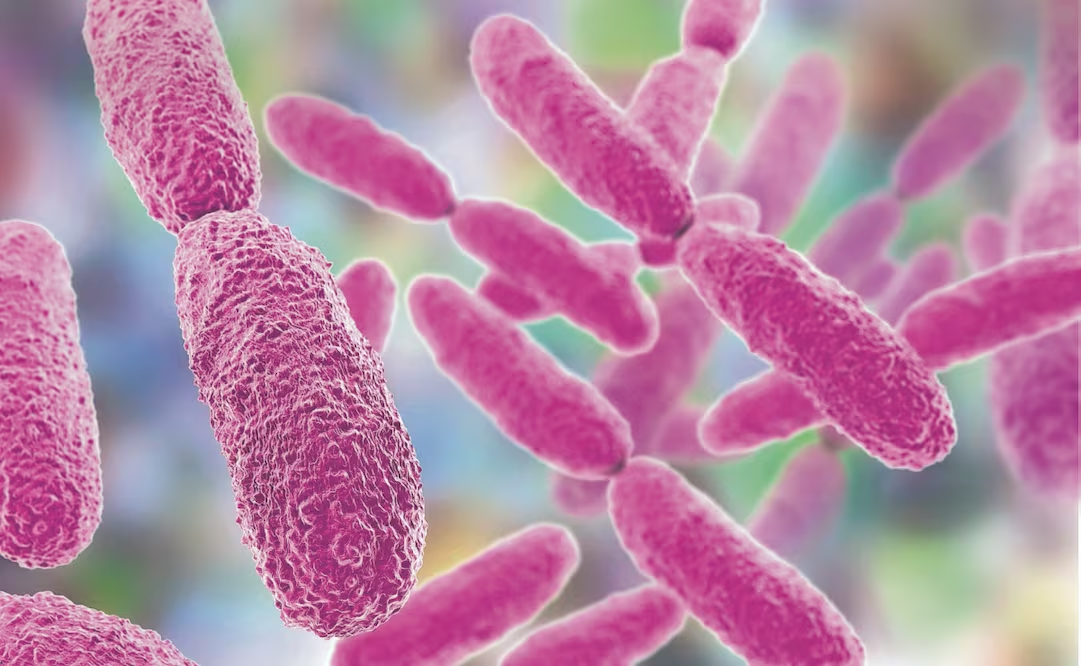 Patentan proceso con bacteria que biotransforma metales tóxicos