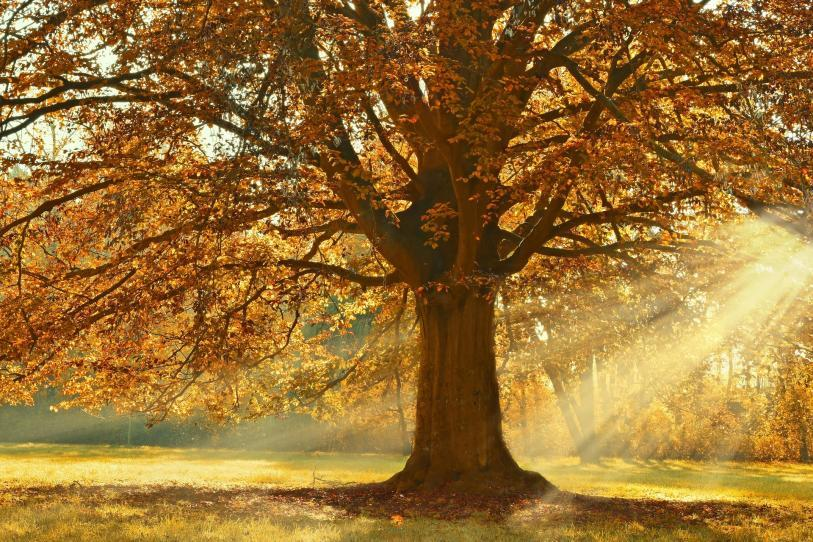 Equinoccio de otoño 2026: cuándo, a qué hora y por qué los días serán más cortos