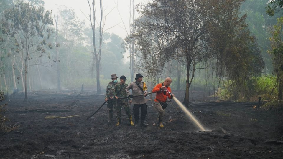Proyectan hasta 451 mil muertes adicionales en el mundo debido al calor causado por El Niño