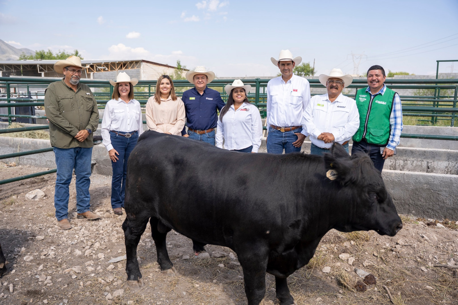 Compran mejores toros a Ganaderos de Castaños