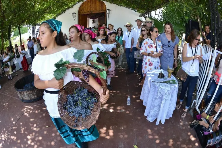 Buscan convertir tradición de Parras en patrimonio estatal