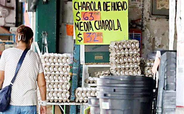 Productores de Coahuila advierten por invasión de huevo desde EU