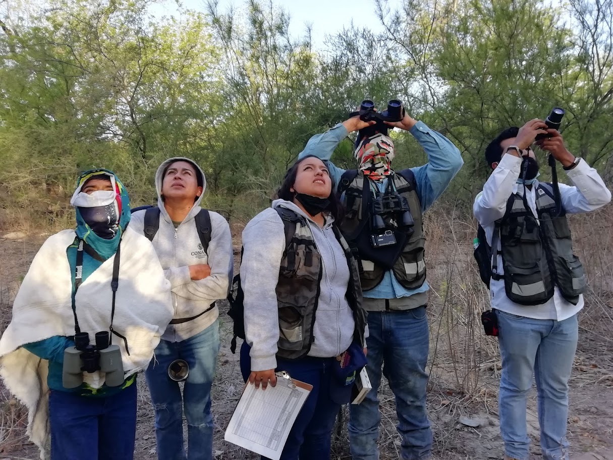Alista CONANP jornada de observación de aves