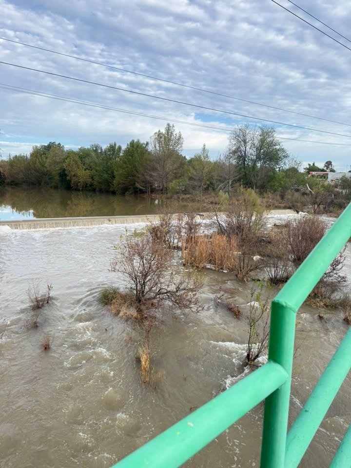 Reaniman lluvias al Río Sabinas