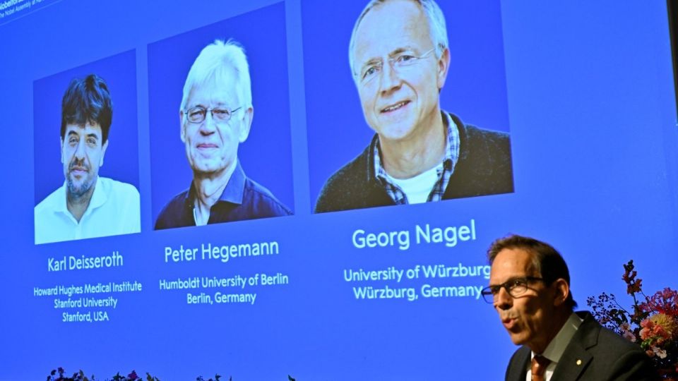 Premian con Nobel, estudio de actividad cerebral con luz