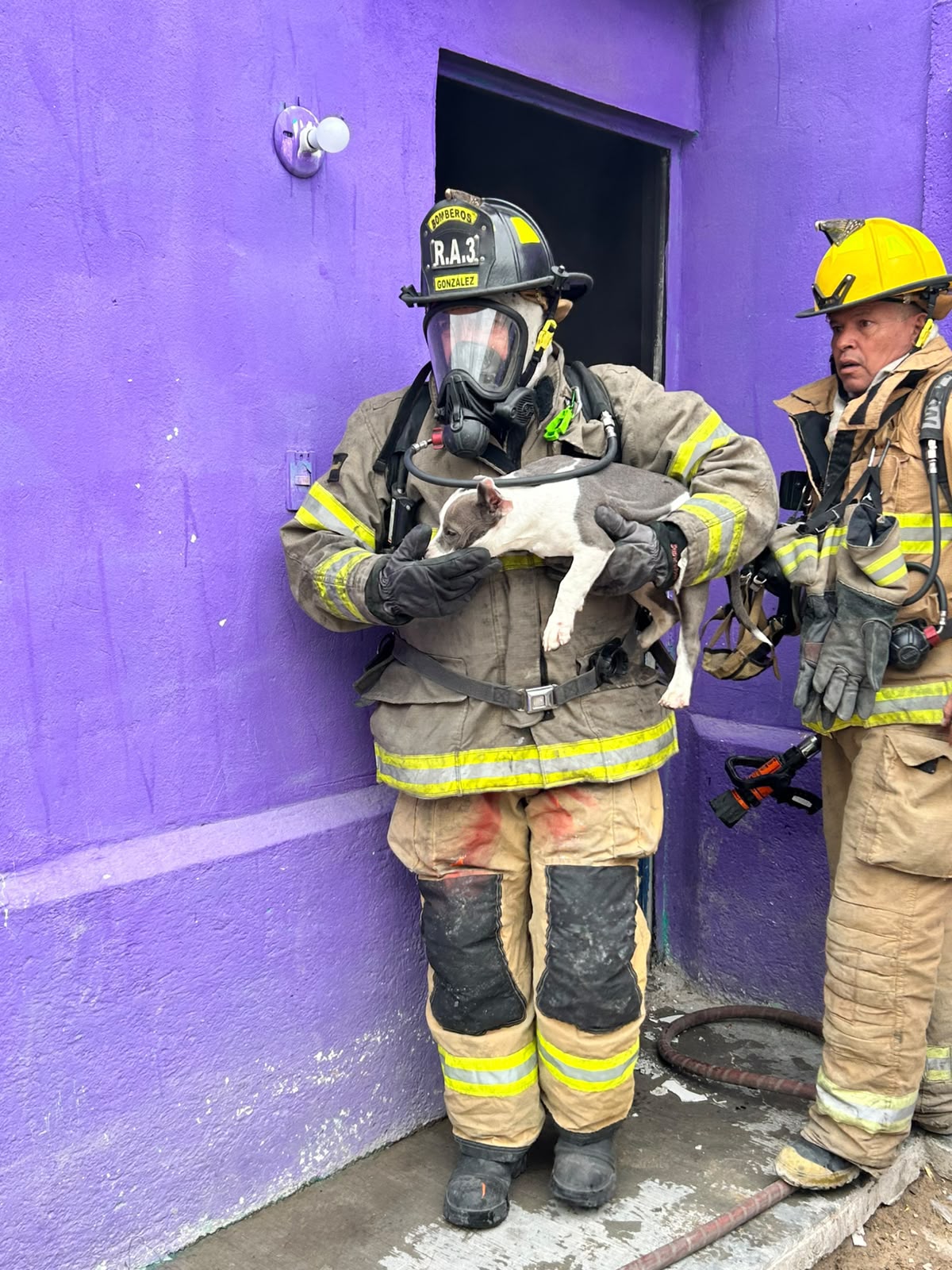 Rescatan bomberos a perrito de incendio