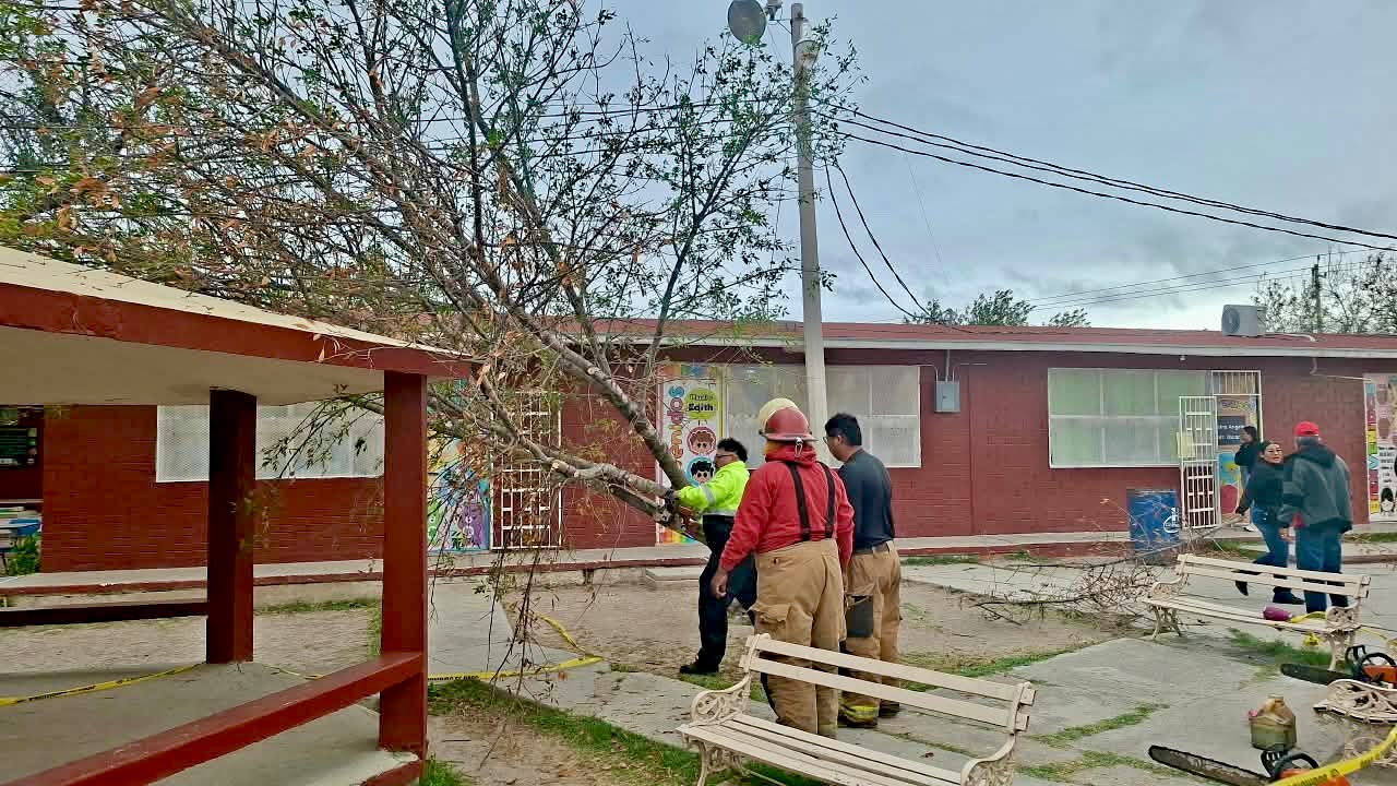 Despliegan operativo por fuertes vientos