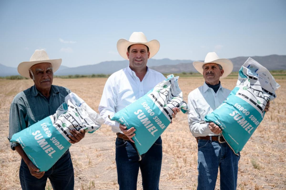 Entregan más de 80 toneladas de semilla forrajera en Saltillo