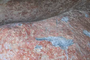 Saqueo de cuevas en Cuatro Ciénegas fue por un encargo