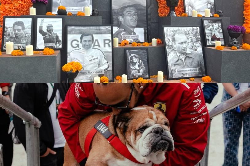 Roscoe, el perro de Lewis Hamilton, presente en la ofrenda del GP de México
