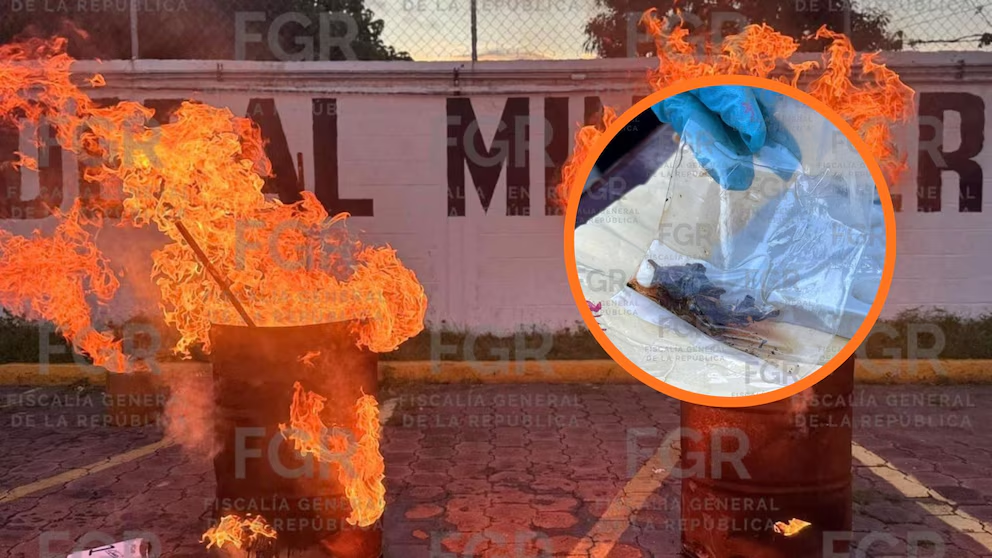 La FGR destruye en Veracruz casi cinco toneladas de drog4s, piratería y arsenal bélico