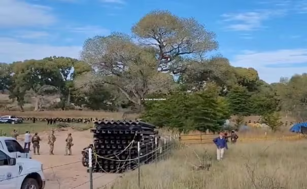Patrulla Fronteriza derriba árbol de 250 años para avanzar con muro entre Sonora y Arizona; Nación Tohono O’odham denuncia desalojo de defensores