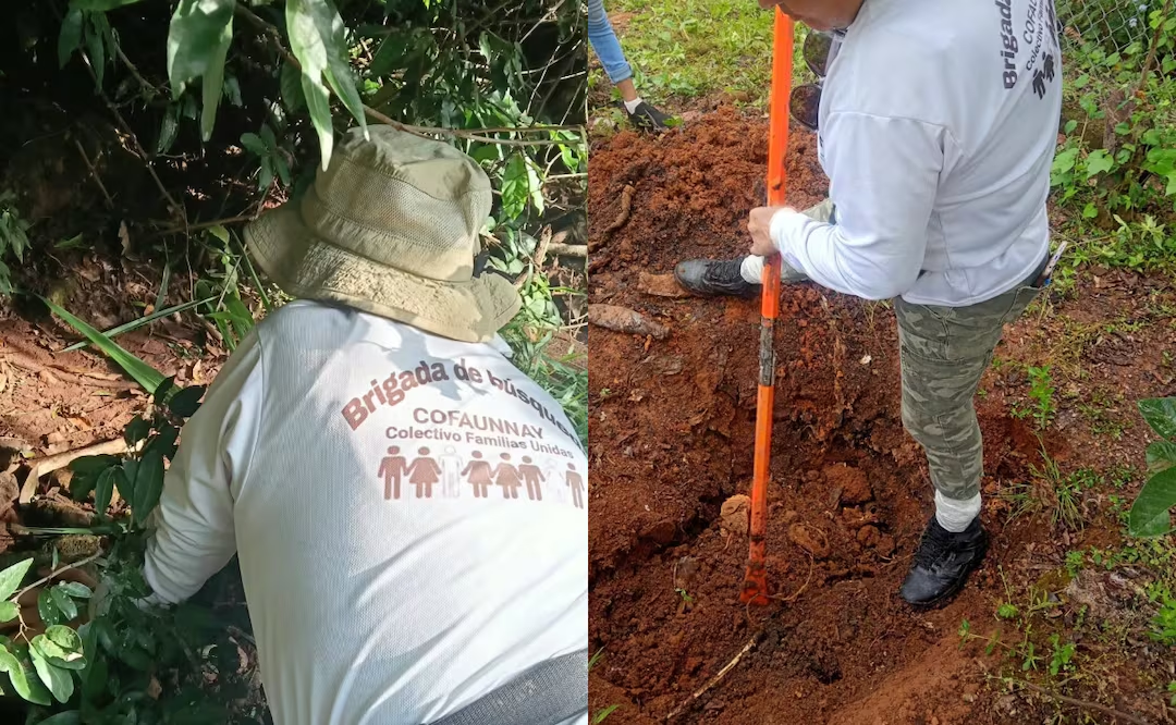 Comisión de Búsqueda apoya en procesamiento de «centro de ext3rminio» hallado en Nayarit; envía a un equipo especializado