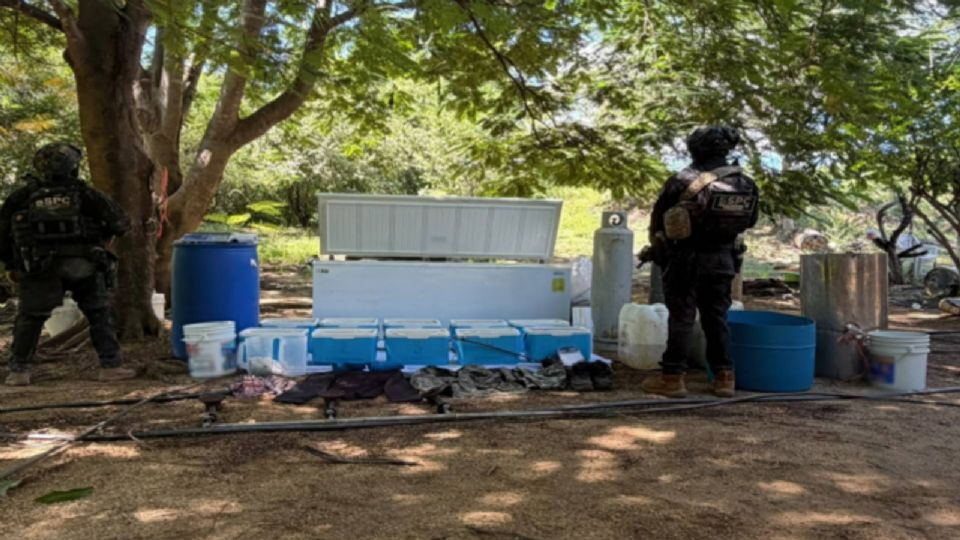 Crimen organizado en Sinaloa: desmantelan cinco laboratorios de dr*ga en el municipio de Cosalá