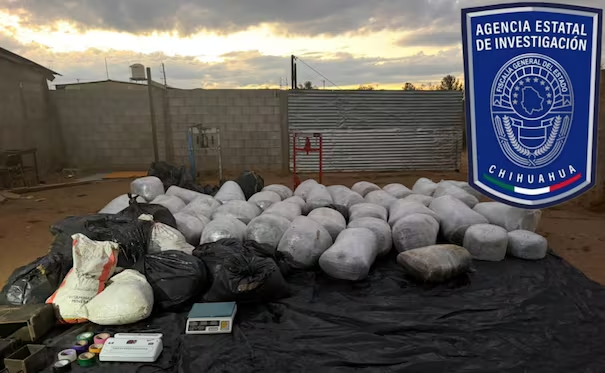 Aseguran casi una tonelada de m*rihuana en Chihuahua; dos b4leados muer*n en el hospital