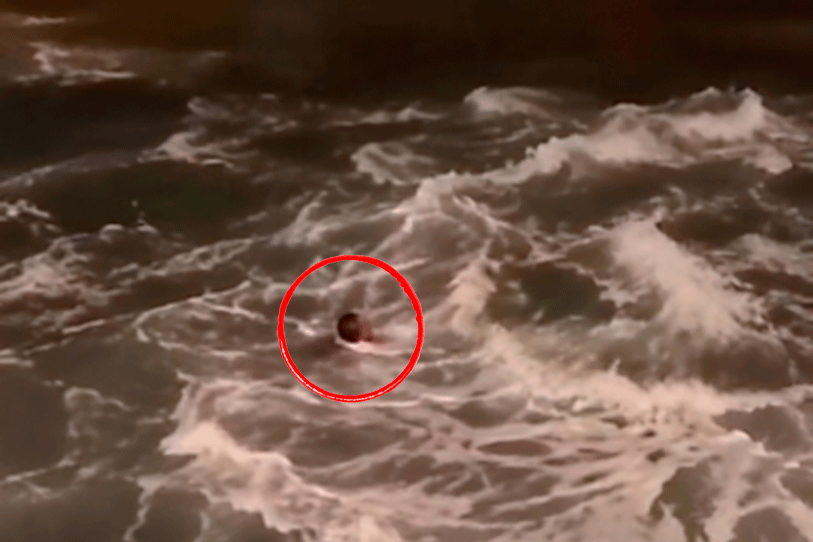 Se lanzó al mar pese al intenso oleaje en Mazatlán; encuentran sin vida a clavadista