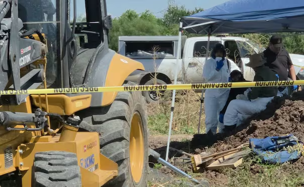 Hallan 3 cu3rpos en fosas cl4ndestinas en Navolato, Sinaloa; continúan rastreo en terrenos agrícolas con maquinaria pesada
