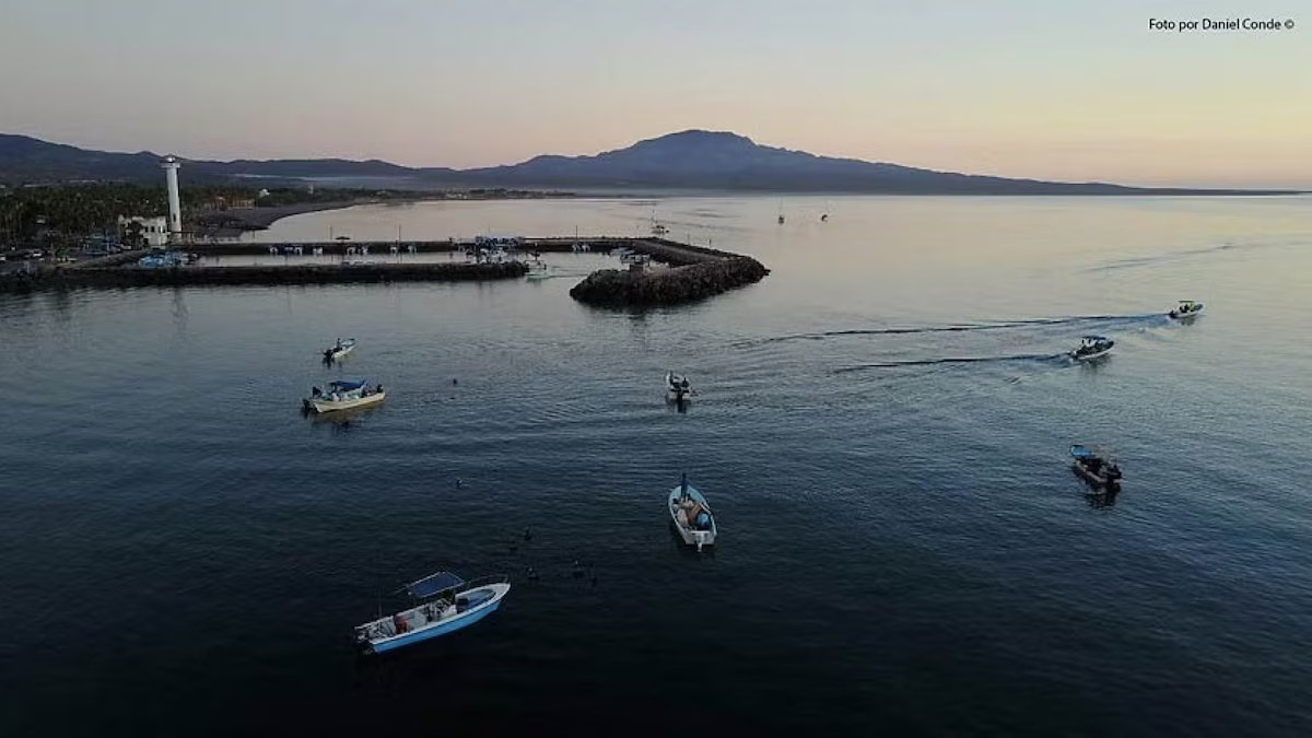Huracán ‘Simón’ cambia otra vez de trayectoria: ¿Por qué ahora Baja California Sur está en alerta?