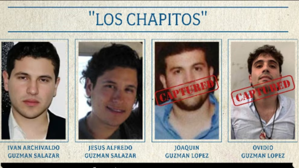 Rupturas internas en Los Chapitos: las siete células que habrían cambiado de bando en la guerra del Cártel de Sinaloa