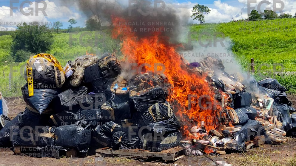 FGR destruye más de tres toneladas de drog4s en Colima: pérdida para el crimen organizado supera los 648 millones de pesos