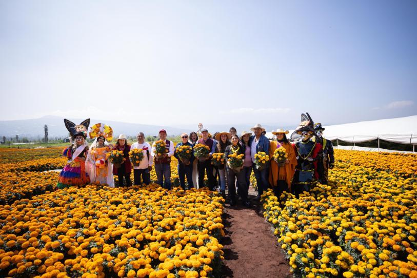 Xochimilco alcanza producción récord con 10 millones de flores de cempasúchil