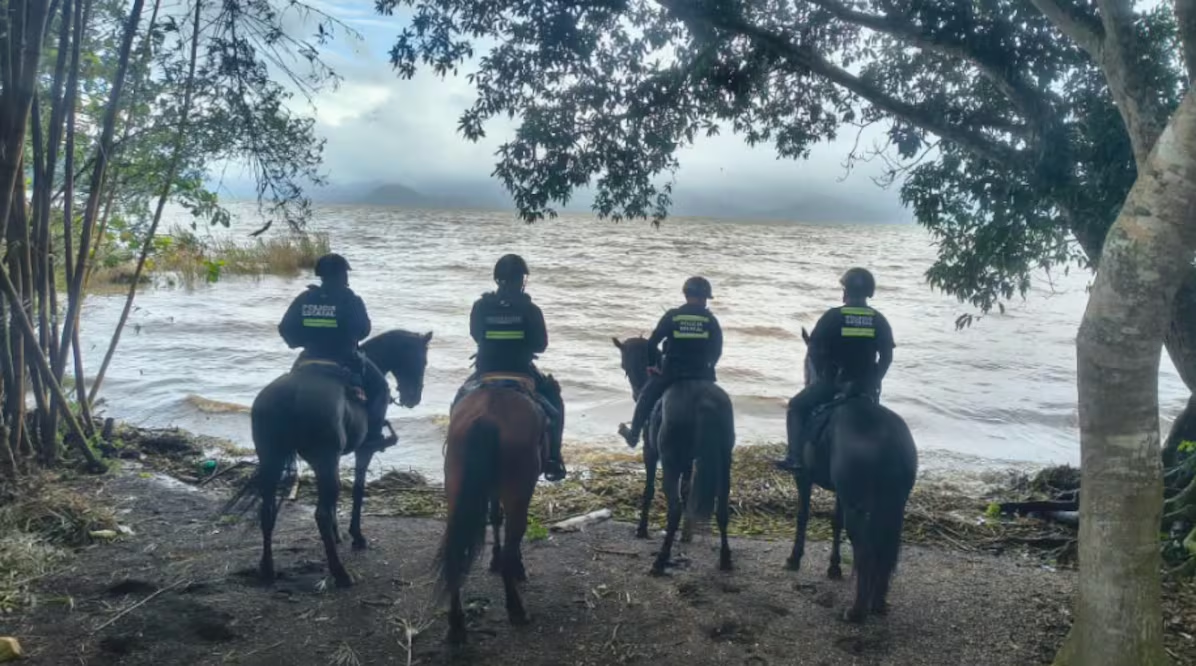 Suman 11 muert*s en Veracruz por Frente Frío número 2; ríos descienden e inicia limpieza