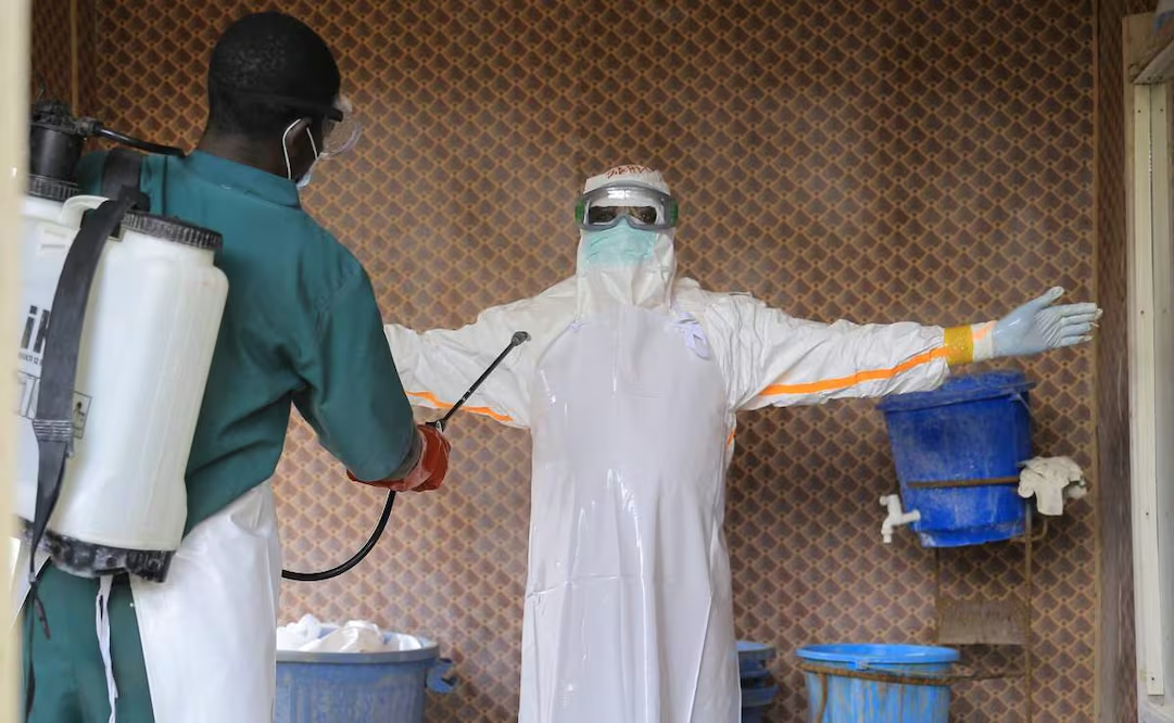 África enfrenta un brote de ébola «más complejo» tras llegada del virus a Nigeria: OMS; el país confirma su primer caso importado
